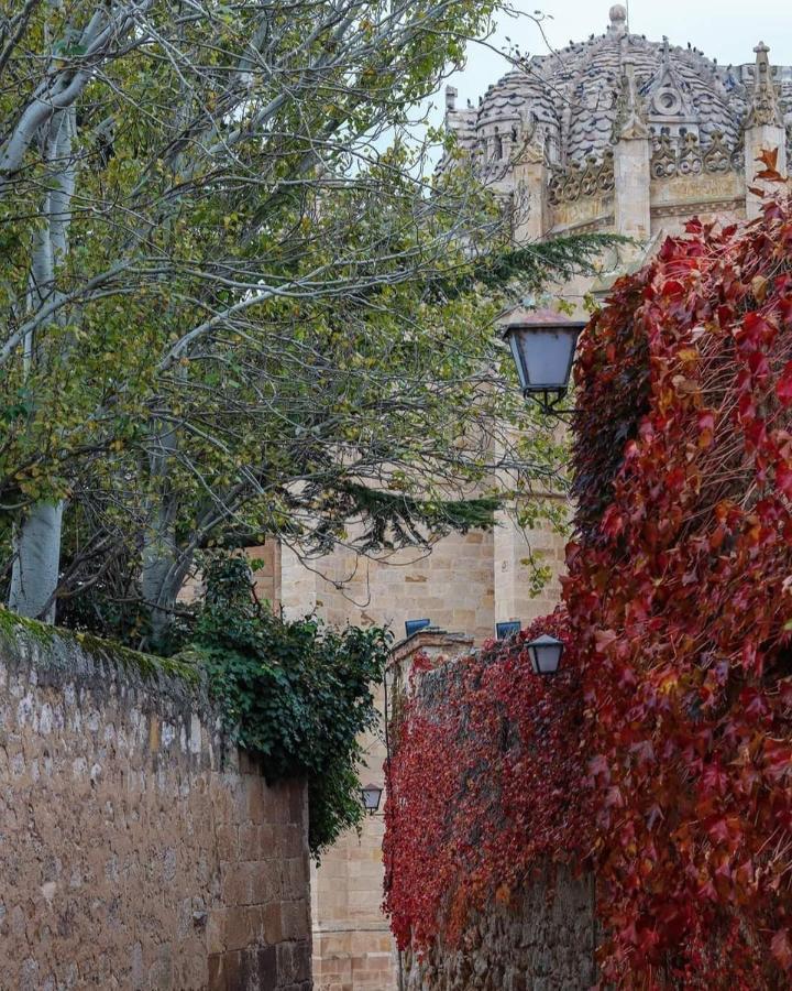 A Los Ojos Del Rio Duero Apartment Zamora Exterior foto