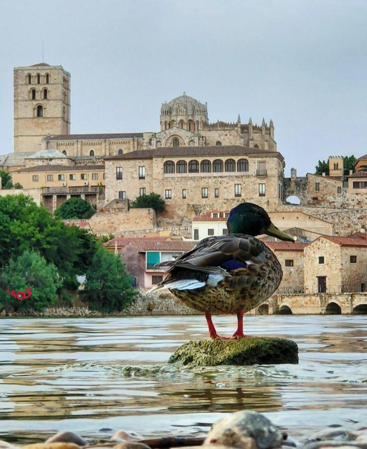 A Los Ojos Del Rio Duero Apartment Zamora Exterior foto