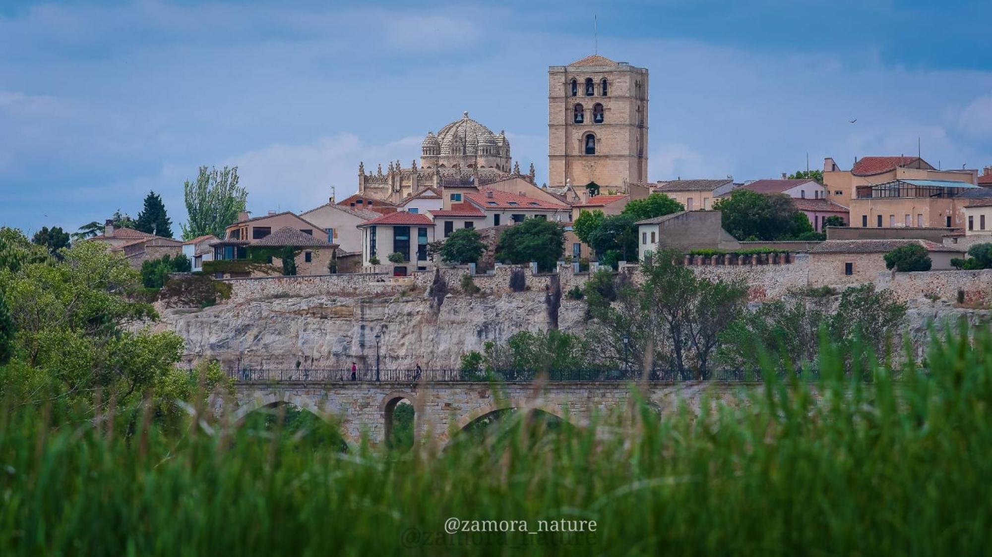 A Los Ojos Del Rio Duero Apartment Zamora Exterior foto